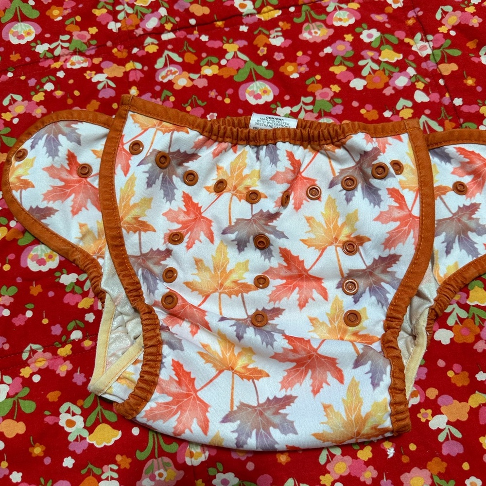Thirsties Duo Wrap Snap Size Two
